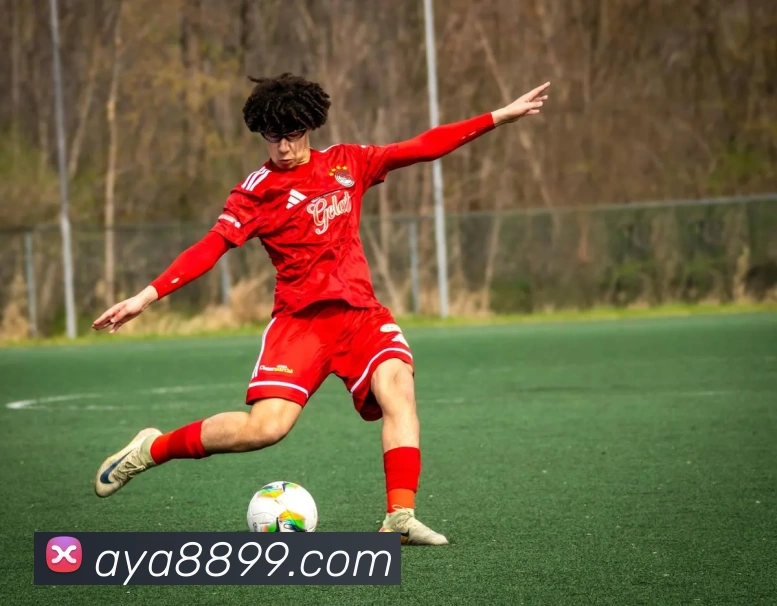 澳亚国际官网品牌故事