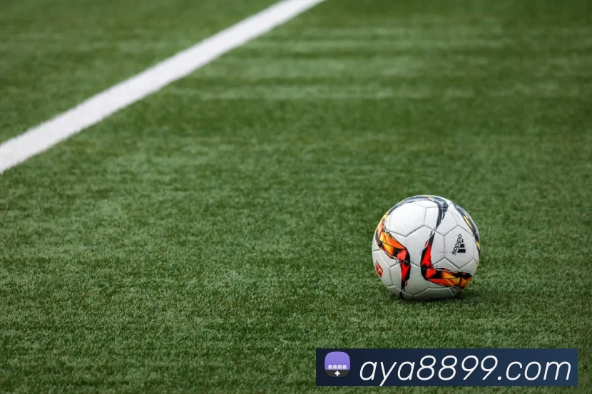 澳亚国际官网服务体系