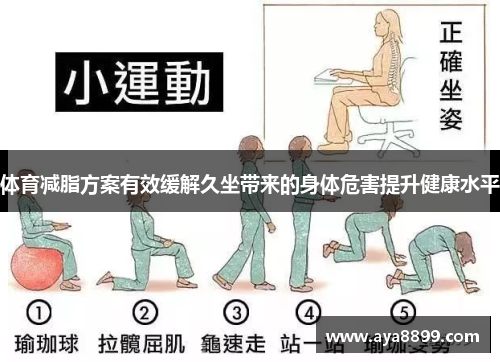 体育减脂方案有效缓解久坐带来的身体危害提升健康水平