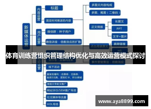 体育训练营组织管理结构优化与高效运营模式探讨