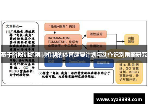 基于阶段训练限制机制的体育康复计划与动作识别策略研究